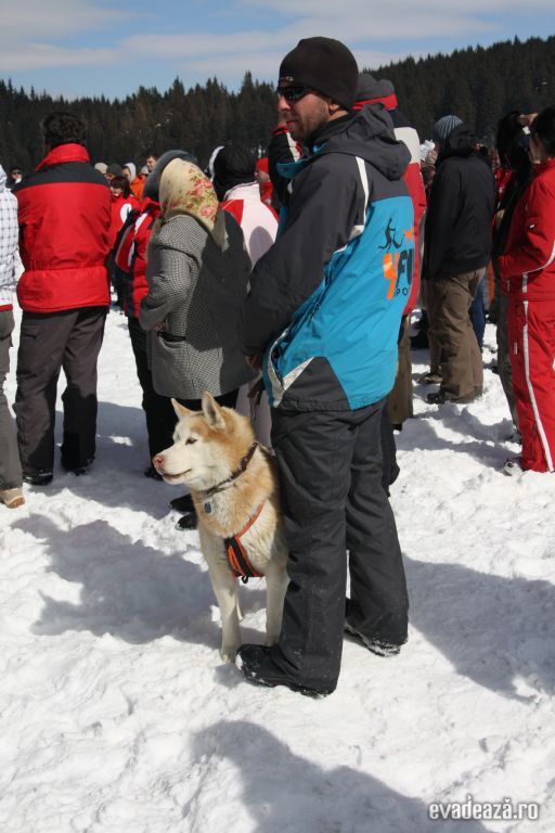 Concurs cu sănii trase de câini - Harghita | 5